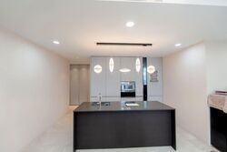 Amber Park (D15), Condominium #561318431